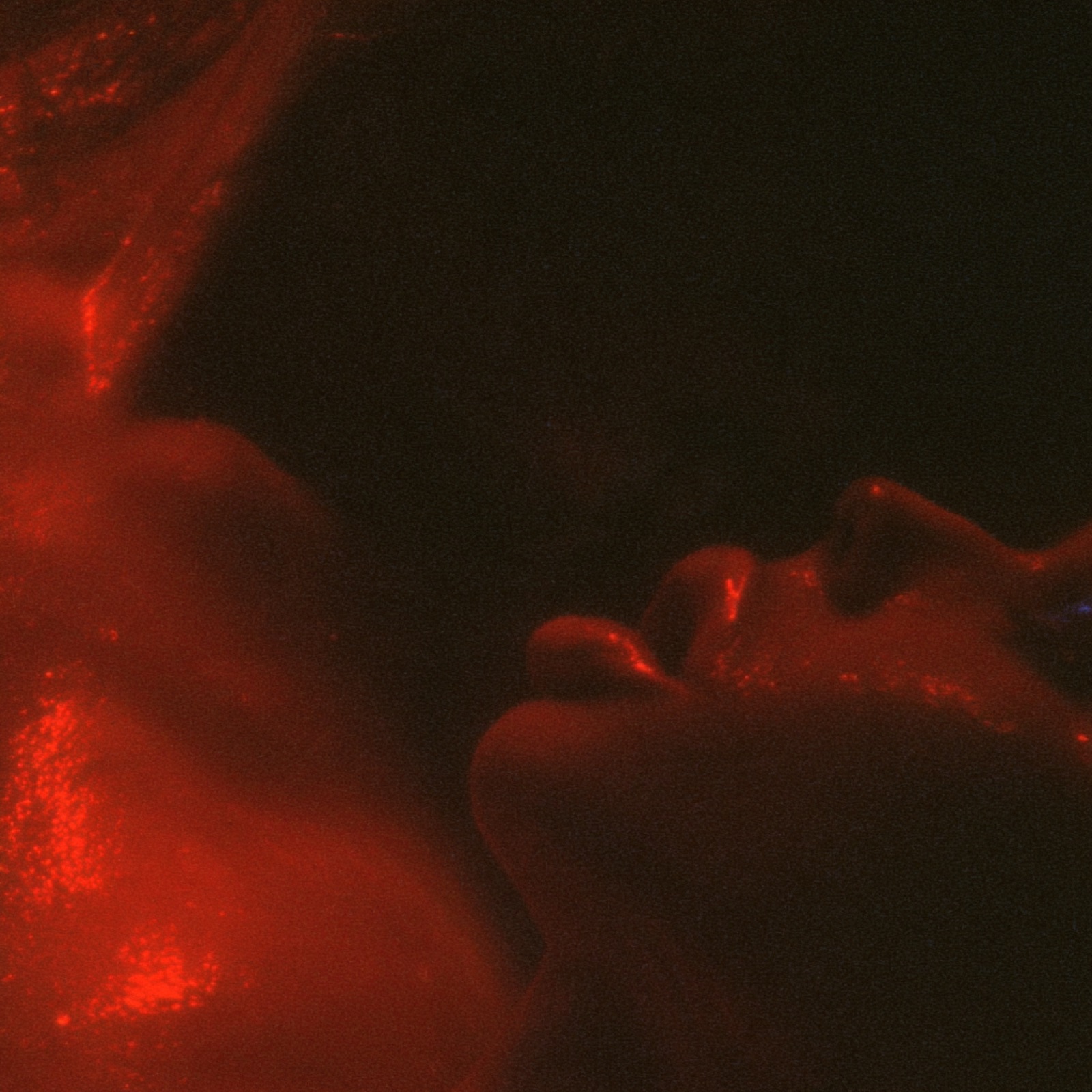 KISSING 159