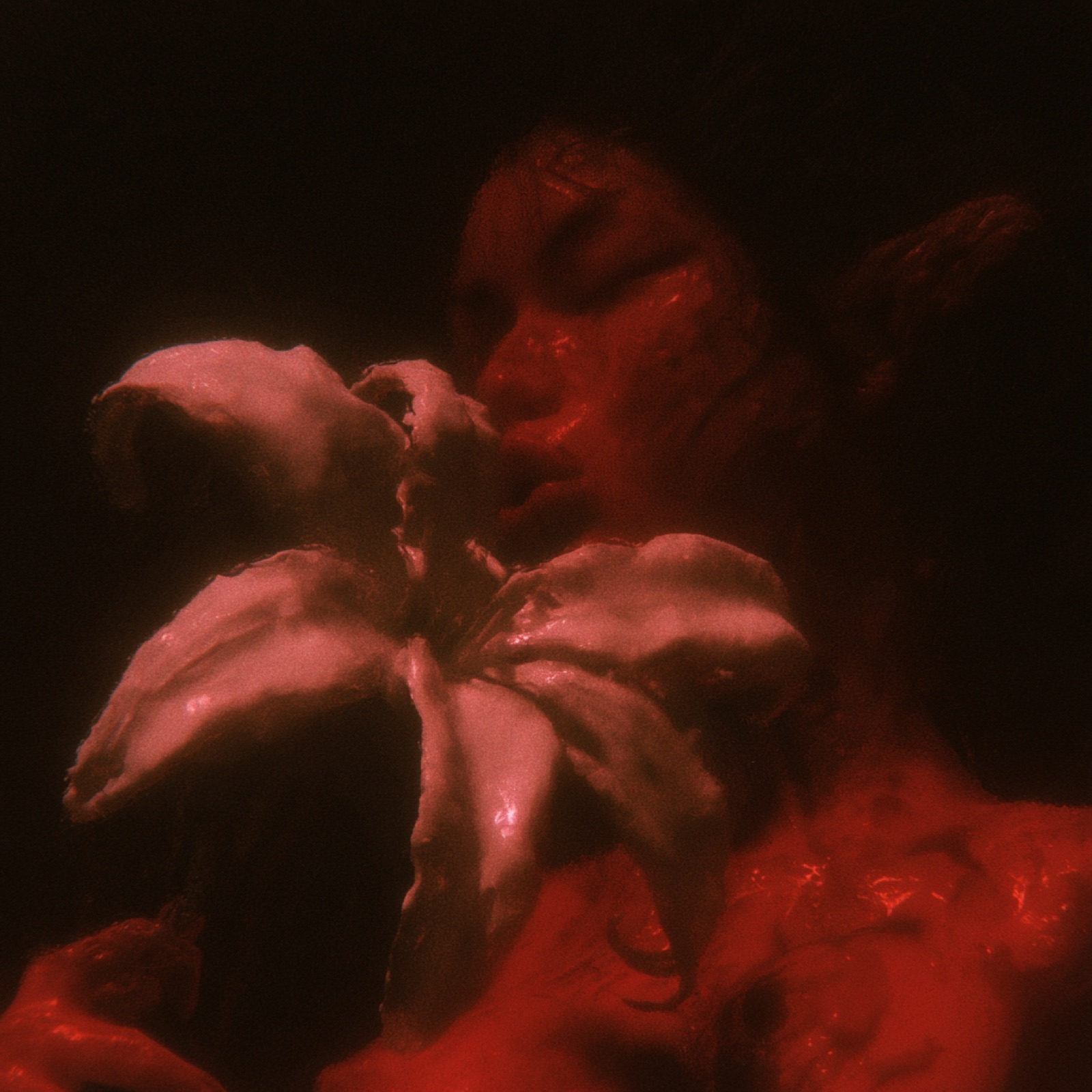 KISSING 162