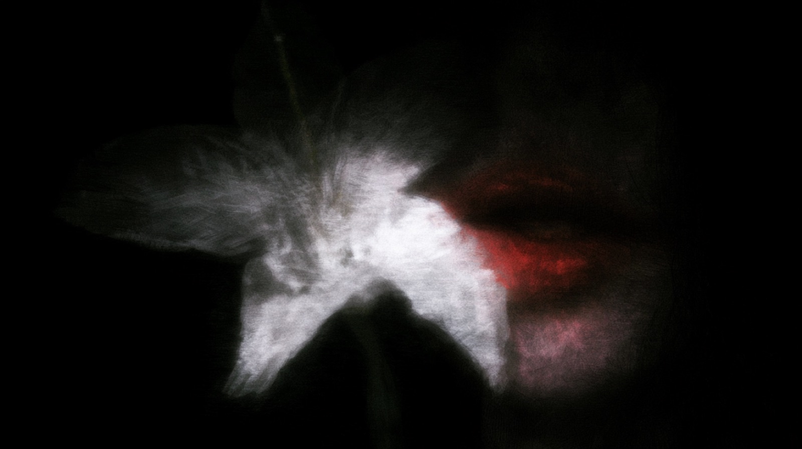 ORGANISM 259